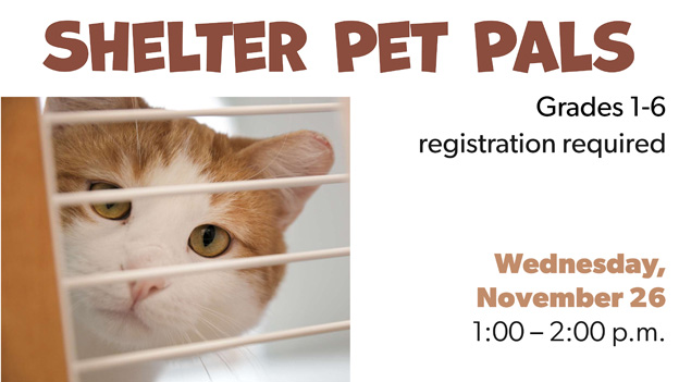 shelter pet pals, click for details